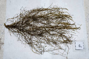  ( - LD01094)  @11 [ ] by-nc (2024) Unspecified Alfred Wegener Institute