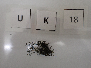  ( - LD01110)  @11 [ ] by-nc (2024) Unspecified Alfred Wegener Institute