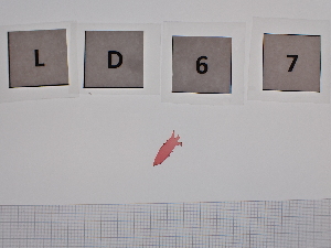 ( - LD00067)  @11 [ ] by-nc  Unspecified Alfred Wegener Institute