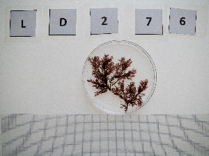  ( - LD00276)  @11 [ ] by-nc (2022) Unspecified Canadian Museum of Nature