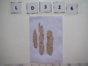  ( - LD00326)  @11 [ ] by-nc (2022) Unspecified Canadian Museum of Nature