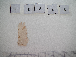  ( - LD00328)  @11 [ ] by-nc (2022) Unspecified Canadian Museum of Nature