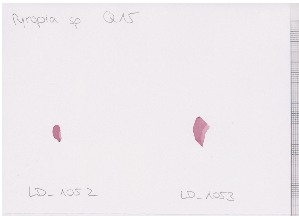  ( - LD00821)  @11 [ ] by-nc (2022) Unspecified Canadian Museum of Nature