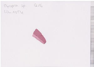  ( - LD00822)  @11 [ ] by-nc (2022) Unspecified Canadian Museum of Nature