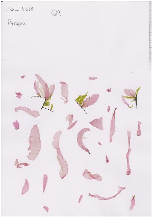  ( - LD00865)  @11 [ ] by-nc (2022) Unspecified Canadian Museum of Nature