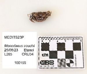  ( - 300215)  @11 [ ] CreativeCommons  Attribution (by) (2025) Unspecified Universitat de les Illes Balears