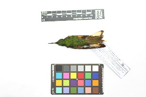  ( - 1030-IV_CAP53)  @11 [ ] CreativeCommons - Attribution Non-Commercial Share-Alike (2018) Instituto de Investigacion Alexander von Humboldt (IAvH) Instituto de Investigacion Alexander von Humboldt (IAvH)