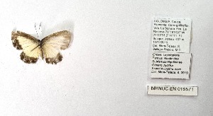  ( - CBMP0312)  @11 [ ] Unspecified (default): All Rights Reserved (2022) Copyright photoshop