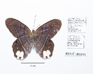  ( - CBMP0213)  @11 [ ] Copyright (2022) Unspecified photoshop