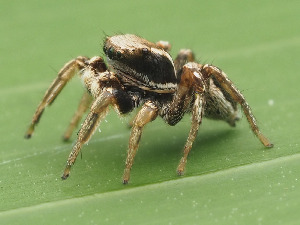  ( - CCDB-45528-18)  @11 [ ] No Rights Reserved (2023) Unspecified Unspecified