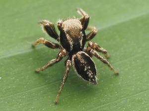  ( - CCDB-45528-18)  @11 [ ] No Rights Reserved (2023) Unspecified Unspecified