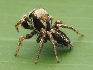  ( - CCDB-45528-18)  @11 [ ] No Rights Reserved (2023) Unspecified Unspecified