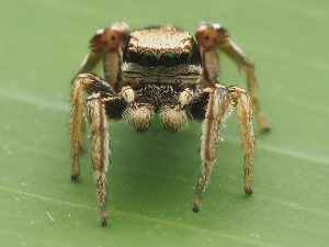  ( - CCDB-45528-18)  @11 [ ] No Rights Reserved (2023) Unspecified Unspecified