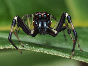  ( - CCDB-50480-68)  @11 [ ] nrr (2024) Unspecified Unspecified