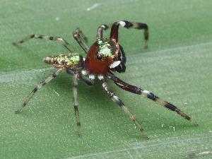  ( - CCDB-50480-71)  @11 [ ] nrr (2024) Unspecified Unspecified