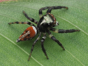  ( - CCDB-50480-25)  @11 [ ] nrr (2025) Unspecified Unspecified