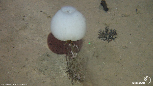  ( - DSB_18)  @11 [ ] Copyright (2019) ROV KIEL 6000 Team GEOMAR Helmholtz Centre for Ocean Research Kiel