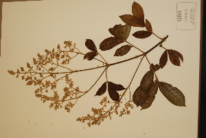  ( - CNS_CC_x02_G12)  @11 [ ] Copyright (2010) CSIRO, Queensland Government and James Cook University CSIRO, Queensland Government and James Cook University