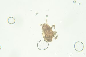  ( - PB_10-8-22_4_GP12)  @11 [ ] CreativeCommons - Attribution Non-Commercial Share-Alike (2023) Unspecified University of Guelph