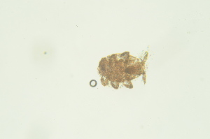  ( - PB_10-8-22_4_GP13)  @11 [ ] CreativeCommons - Attribution Non-Commercial Share-Alike (2023) Unspecified University of Guelph