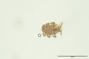  ( - PB_10-8-22_4_GP13)  @11 [ ] CreativeCommons - Attribution Non-Commercial Share-Alike (2023) Unspecified University of Guelph