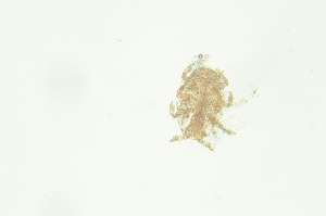  ( - PB_10-8-22_4_GP30)  @11 [ ] CreativeCommons - Attribution Non-Commercial Share-Alike (2023) Unspecified University of Guelph