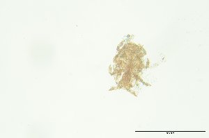  ( - PB_10-8-22_4_GP30)  @11 [ ] CreativeCommons - Attribution Non-Commercial Share-Alike (2023) Unspecified University of Guelph