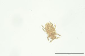  ( - PB_10-8-22_4_GP40)  @11 [ ] CreativeCommons - Attribution Non-Commercial Share-Alike (2023) Unspecified University of Guelph