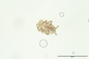  ( - PB_10-8-22_4_GP7)  @11 [ ] CreativeCommons - Attribution Non-Commercial Share-Alike (2023) Unspecified University of Guelph