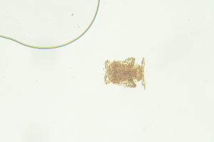  ( - PB_10-8-22_4_GP9)  @11 [ ] CreativeCommons - Attribution Non-Commercial Share-Alike (2023) Unspecified University of Guelph