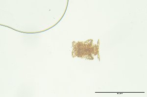  ( - PB_10-8-22_4_GP9)  @11 [ ] CreativeCommons - Attribution Non-Commercial Share-Alike (2023) Unspecified University of Guelph