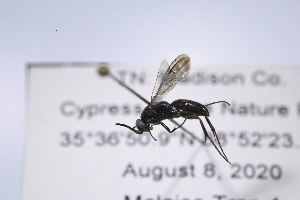  ( - UUPomp_232)  @11 [ ] CreativeCommons - Attribution Share-Alike (2025) Unspecified Union University