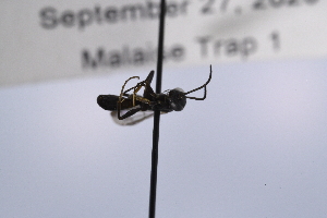  ( - UUPomp_250)  @11 [ ] CreativeCommons - Attribution Share-Alike (2025) Unspecified Union University