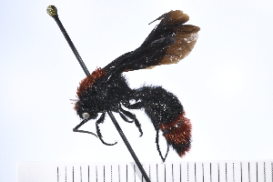  ( - UUINV2020MT1_61)  @11 [ ] Copyright (2022) Jeremy Blaschke Union University