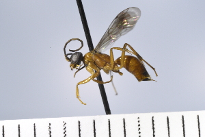  ( - UUINV2022MT_03)  @11 [ ] Copyright (2022) Jeremy Blaschke Union University