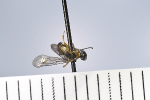  ( - UUINV2022MT_24)  @11 [ ] Copyright (2022) Jeremy Blaschke Union University