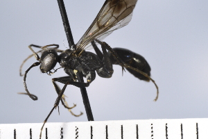  ( - UUINV2022MT_26)  @11 [ ] Copyright (2022) Jeremy Blaschke Union University