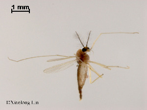  ( - XL1448)  @11 [ ] CreativeCommons - Attribution Non-Commercial Share-Alike (2019) Xiaolong Lin College of Life Sciences, Nankai University