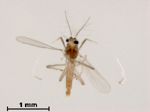  ( - XL1494)  @11 [ ] CreativeCommons - Attribution Non-Commercial Share-Alike (2019) Xiaolong Lin College of Life Sciences, Nankai University