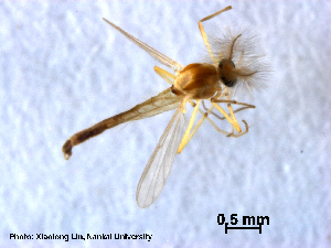  ( - XL1627)  @11 [ ] CreativeCommons - Attribution Non-Commercial Share-Alike (2019) Xiaolong Lin College of Life Sciences, Nankai University