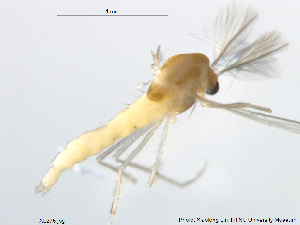  ( - XL275)  @11 [ ] CreativeCommons - Attribution Non-Commercial Share-Alike (2018) Xiaolong Lin College of Life Sciences, Nankai University