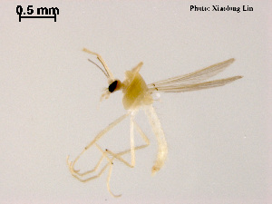  ( - XL936)  @11 [ ] CreativeCommons - Attribution Non-Commercial Share-Alike (2018) Xiaolong Lin College of Life Sciences, Nankai University