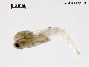  ( - ZJ303)  @11 [ ] CreativeCommons-Attribution Non-Commercial Share-Alike (2020) Xiaolong Lin Nankai University, College of Life Sciences