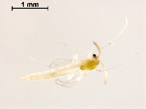  ( - ZJ89)  @11 [ ] CreativeCommons - Attribution Non-Commercial Share-Alike (2019) Xiaolong Lin College of Life Sciences, Nankai University