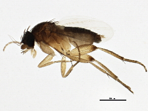  ( - BIOUG01982-H03)  @13 [ ] CreativeCommons - Attribution (2012) CBG Photography Group Centre for Biodiversity Genomics