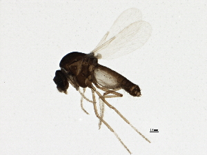  ( - BIOUG02056-B09)  @12 [ ] CreativeCommons - Attribution (2012) CBG Photography Group Centre for Biodiversity Genomics