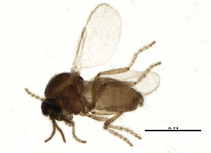  ( - BIOUG02056-G04)  @13 [ ] CreativeCommons - Attribution (2012) CBG Photography Group Centre for Biodiversity Genomics