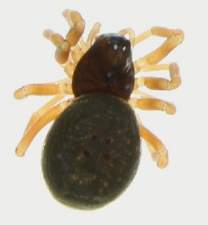  ( - ZMUO.002800)  @11 [ ] CreativeCommons - Attribution Non-Commercial (2012) Marko Mutanen University of Oulu