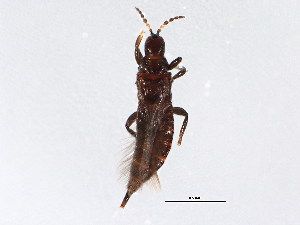  ( - BIOUG02020-B10)  @13 [ ] CreativeCommons - Attribution (2012) CBG Photography Group Centre for Biodiversity Genomics