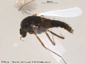  ( - Finnmark464)  @12 [ ] CreativeCommons - Attribution Non-Commercial Share-Alike (2012) NTNU Museum of Natural History and Archaeology NTNU Museum of Natural History and Archaeology